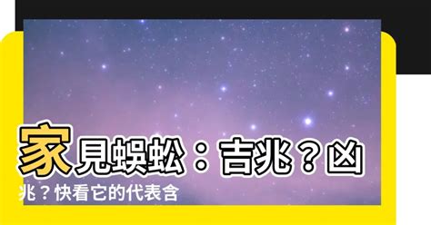 看 到 蜈蚣代表什麼|【看到蜈蚣代表什麼】蜈蚣出沒驚魂！看到蜈蚣代表什麼吉凶預。